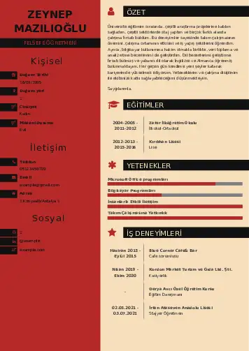Felsefe Öğretmeni CV Örnekleri cv indir